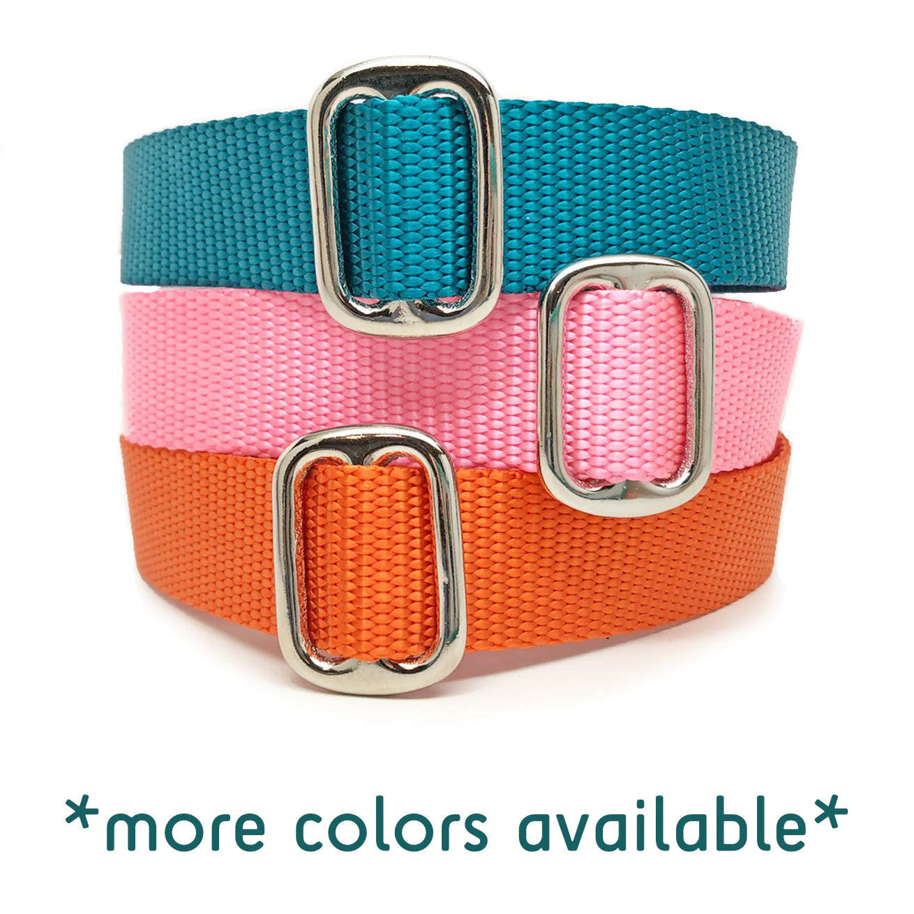 Naked Nylon Collar (5/8" & 1" Widths)