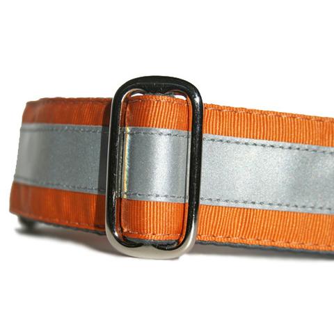 Reflective Collar