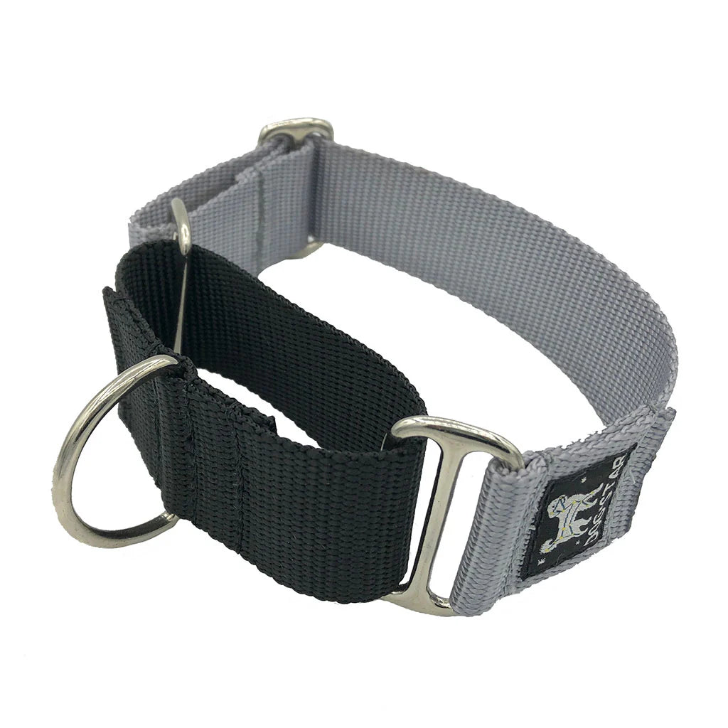 Color Pop Naked Nylon Martingale (1.5" Width)