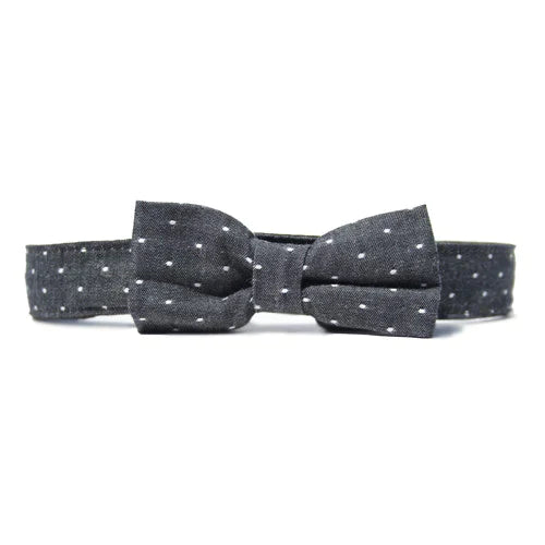 Bow Tie or Bow Standard Collar
