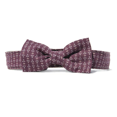 Bow Tie or Bow Standard Collar