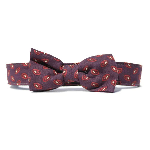 Bow Tie or Bow Standard Collar
