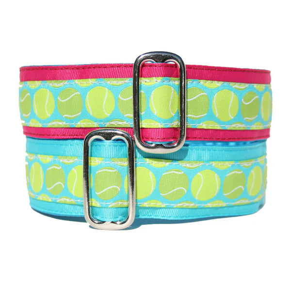 Fetching Collar