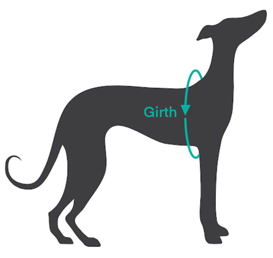 Hug It Out Harness: 1" Naked Nylon Solids