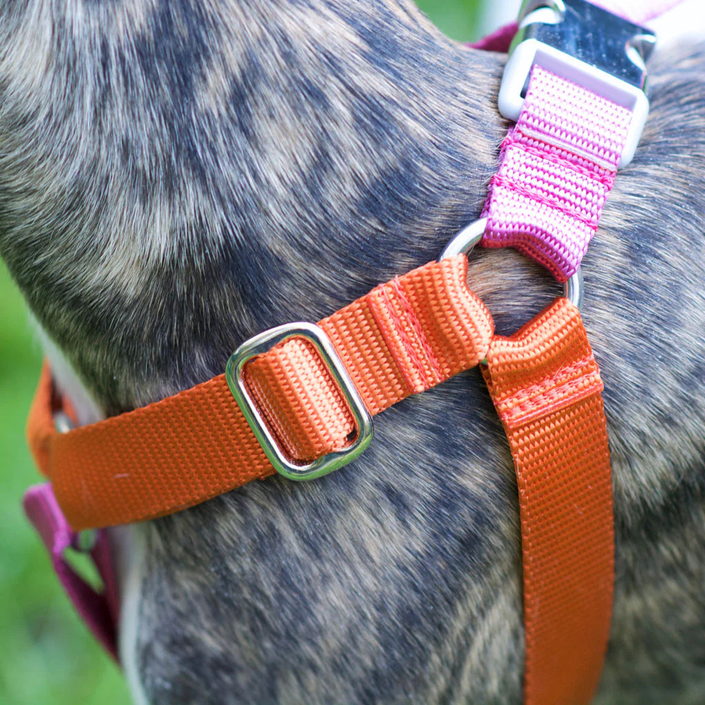 Hug It Out Harness: 1" Naked Nylon Solids