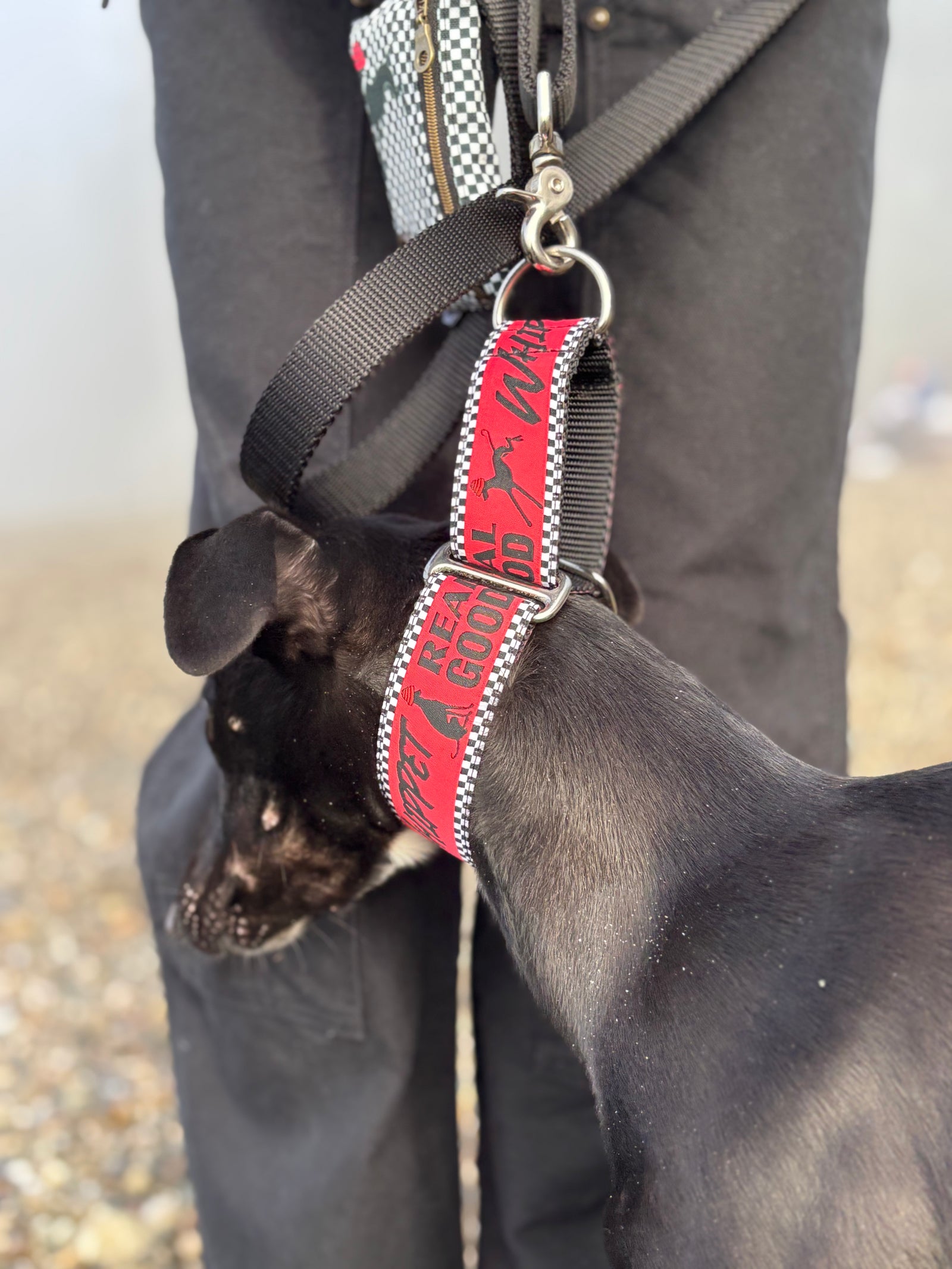 Whippet Real Good (1.5" Width only)