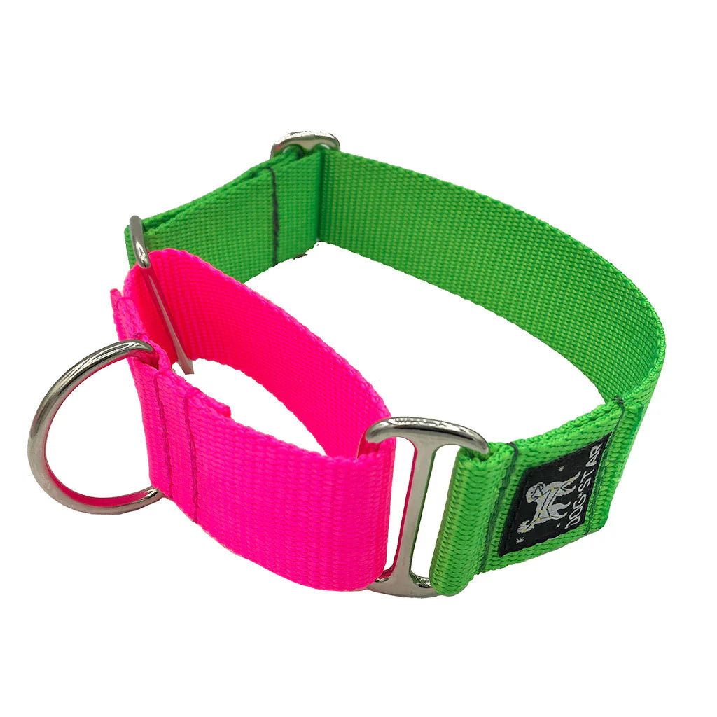 Color Pop Naked Nylon Martingale (1.5" Width)