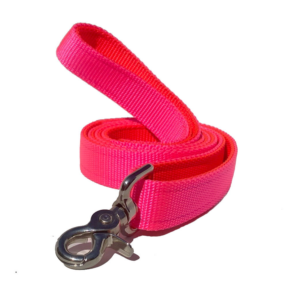 Naked Nylon Leashes