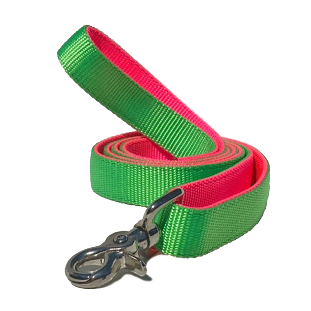 Naked Nylon Leashes