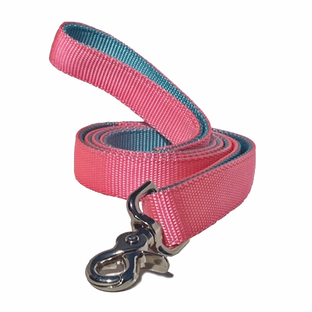 Naked Nylon Leashes