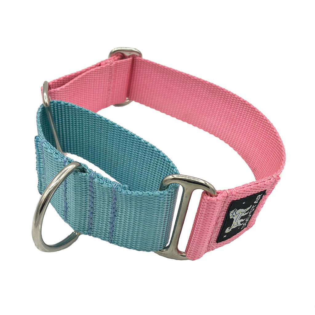 Color Pop Naked Nylon Martingale (1.5" Width)