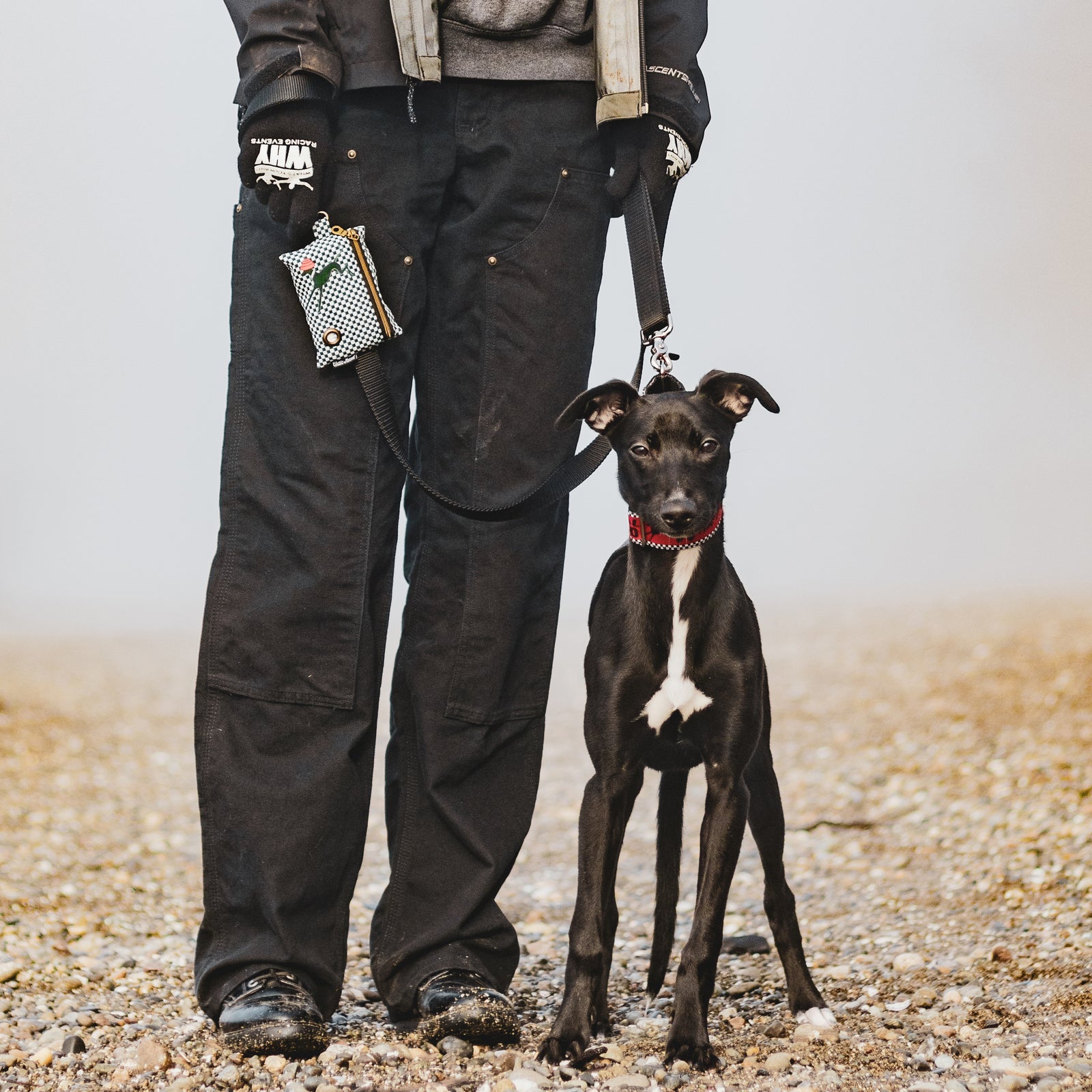 Whippet Real Good (1.5" Width only)