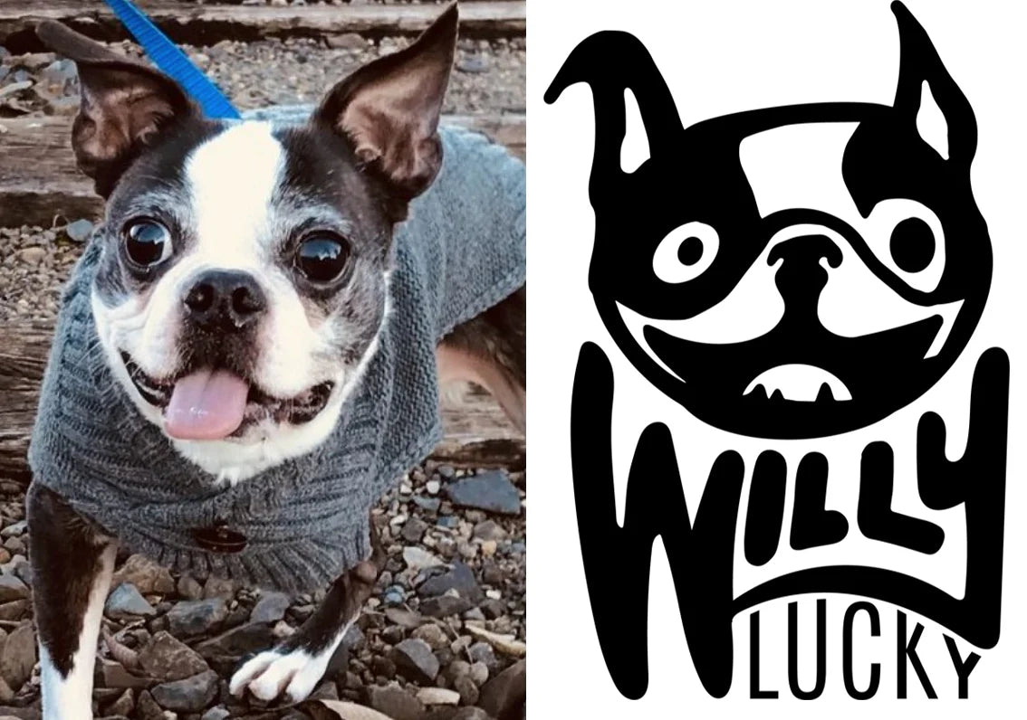 Willy Lucky Pet Rescue Collar