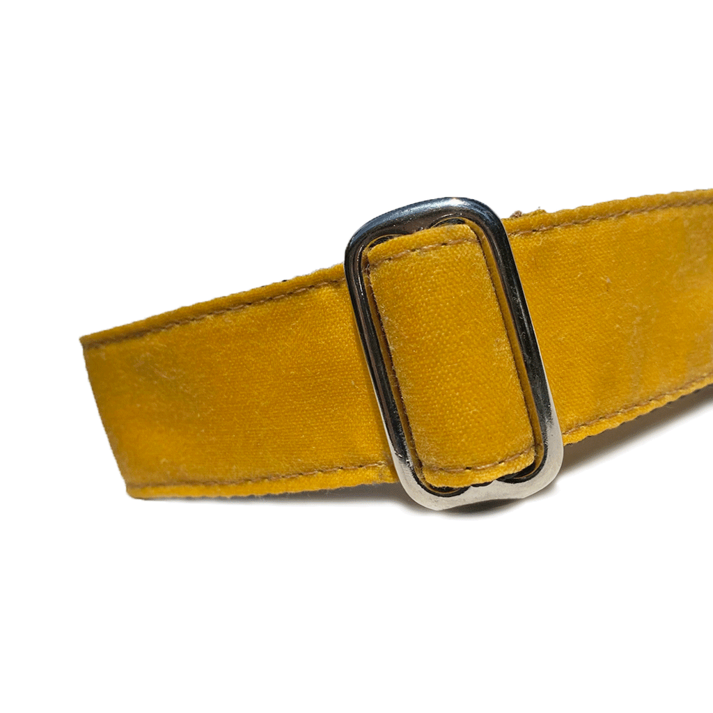 Waxed Canvas Collar