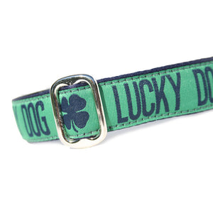 Green and Blue Lucky Dog Four Leaf Clover Irish St Patricks Day Slanted Dog Collar