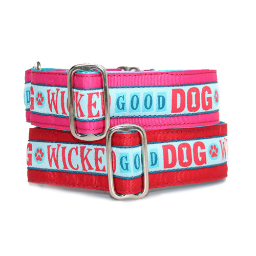 Wicked Good Dog Buckle Collar