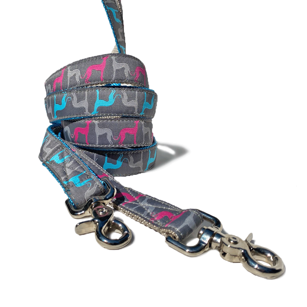 1" Hound Amore Leashes