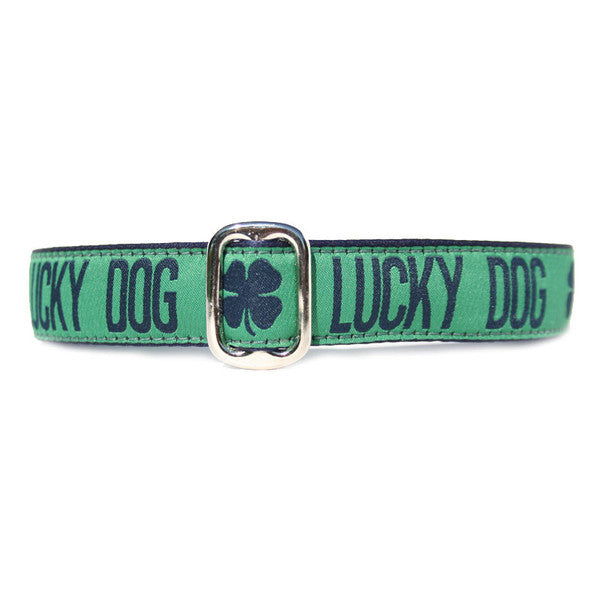 Green and Blue Lucky Dog Four Leaf Clover Irish St Patricks Day Dog Collar