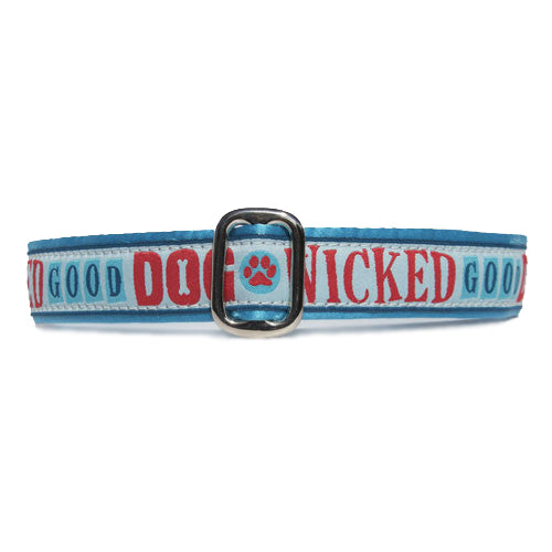 Red and Blue Wicked Good Dog over Blue Background