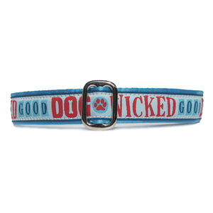 Red and Blue Wicked Good Dog over Blue Background