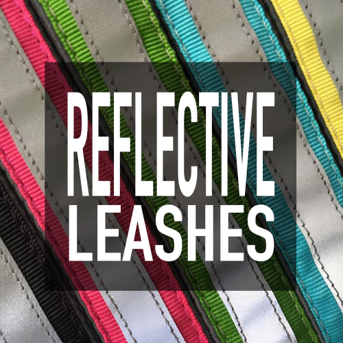 Reflective Leashes