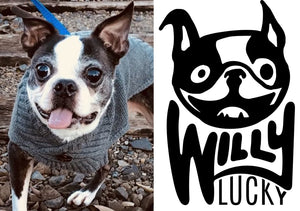 Willy Lucky Pet Rescue Collars & Gear