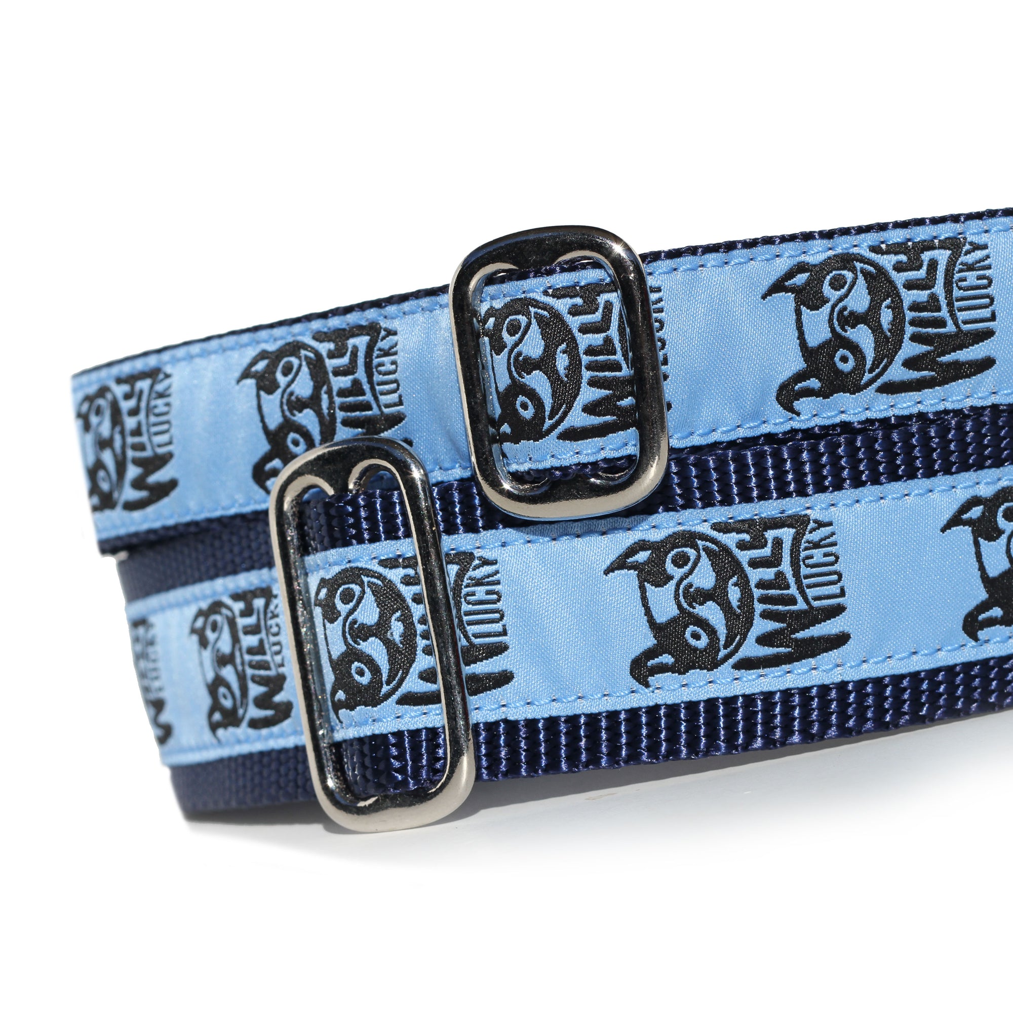 Willy Lucky Pet Rescue Collars & Gear