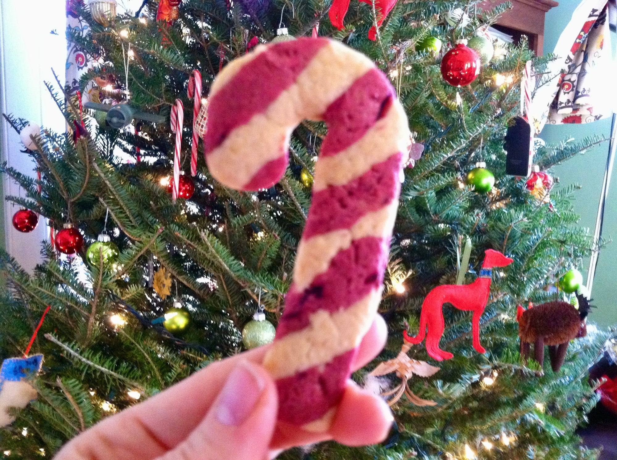 All Natural Candy Cane Dog Treat