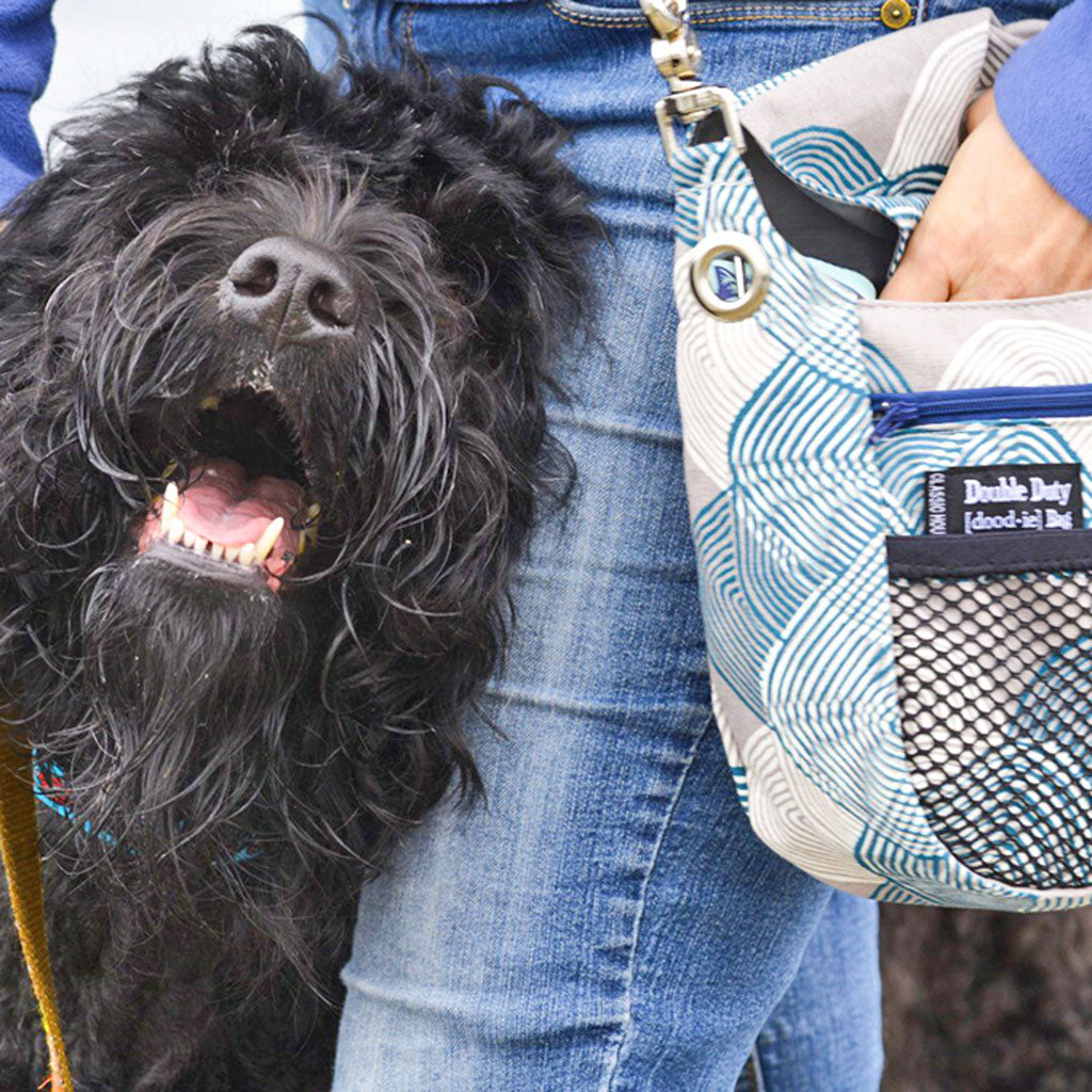 Double Duty Dog Walking Bags