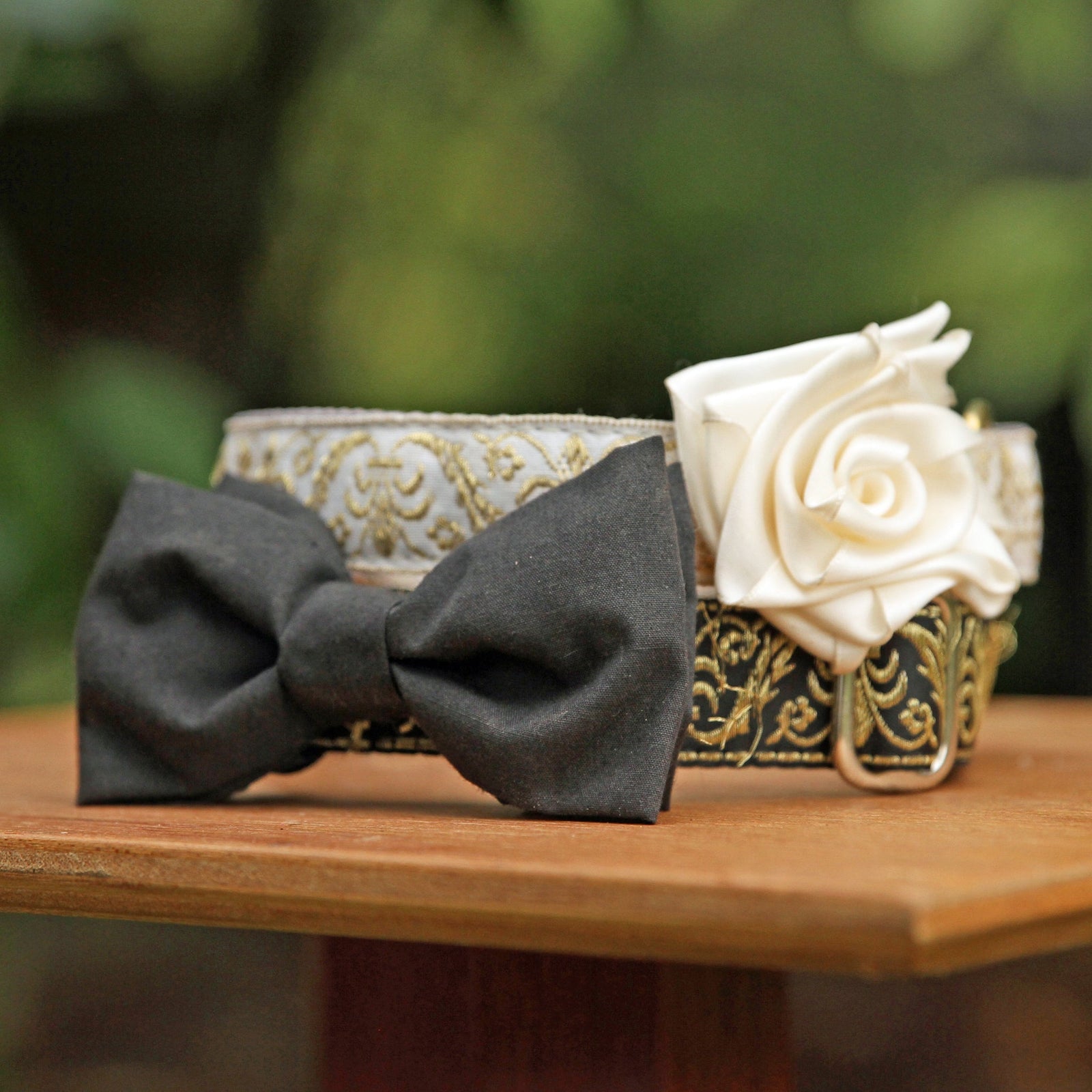 Dogs and Weddings Part 1: Including A Dog in Your Wedding