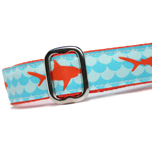 Sharks Collar