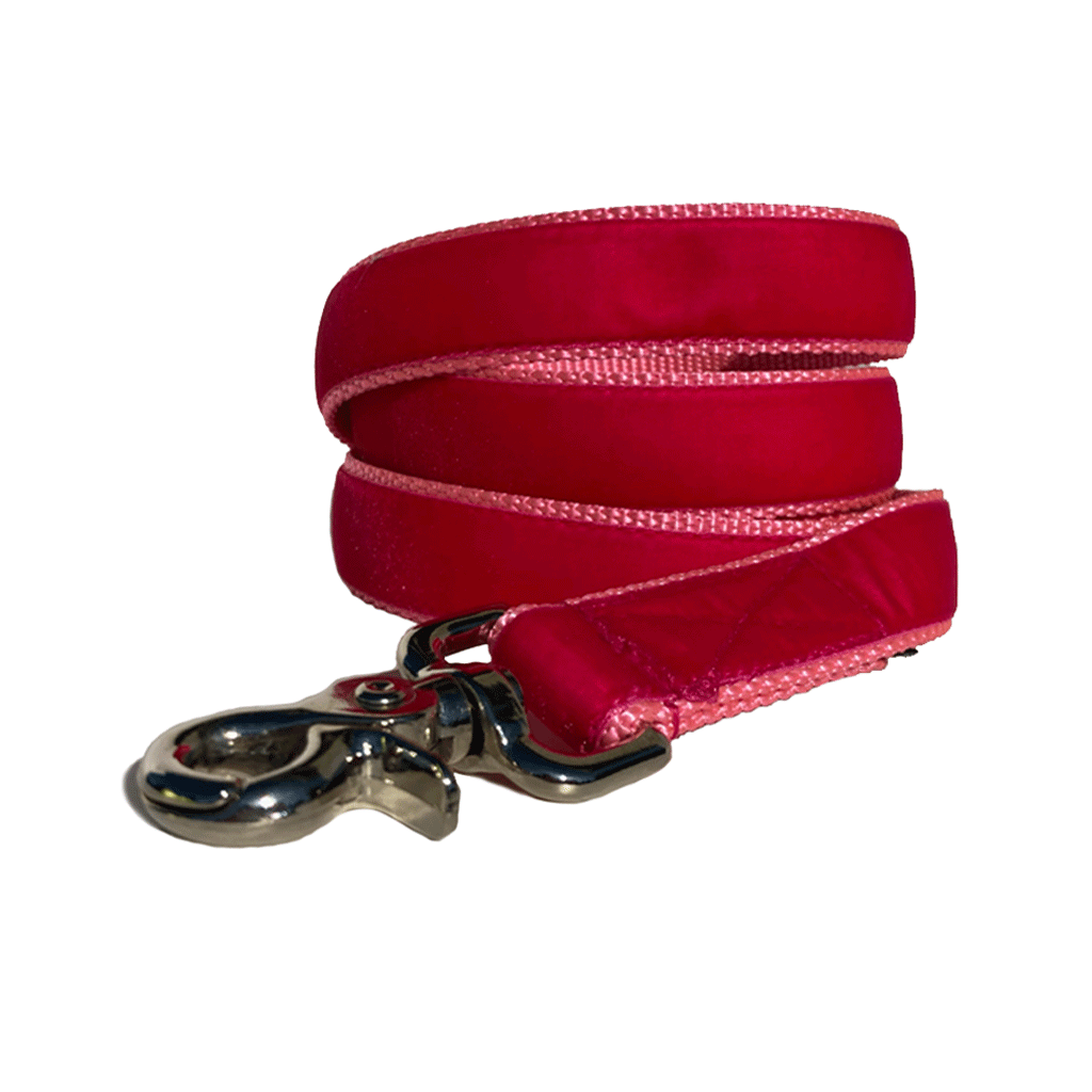 Velvet Leash