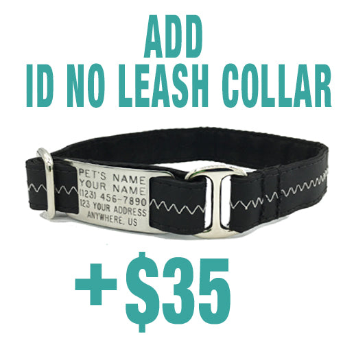 ADD MATCHING ID NO LEASH COLLAR .jpg