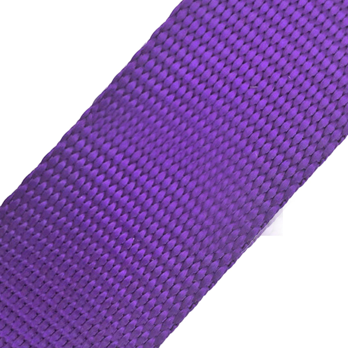 Naked Nylon Collar (1.5" Width)
