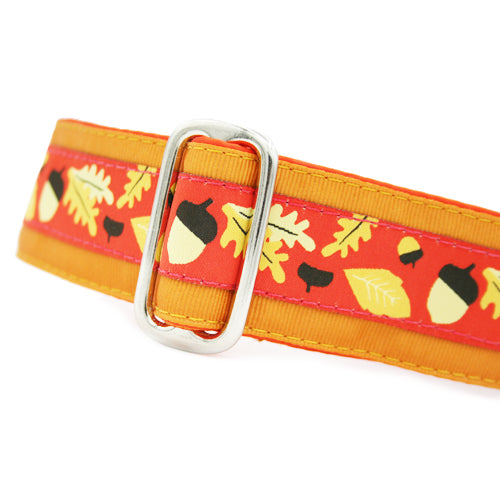 Autumn Breeze Collar