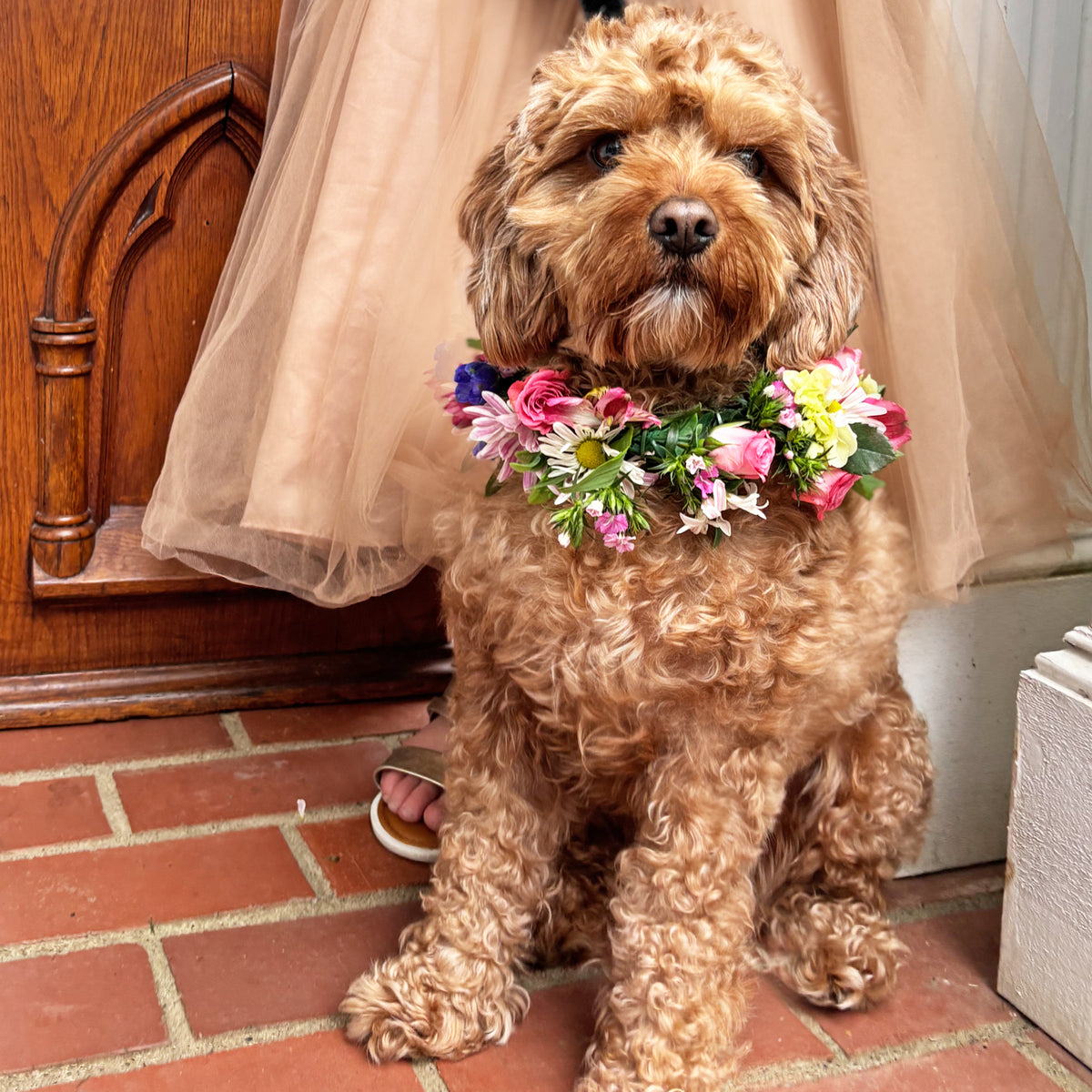 DIY Fresh Flower Garland Collar Kit