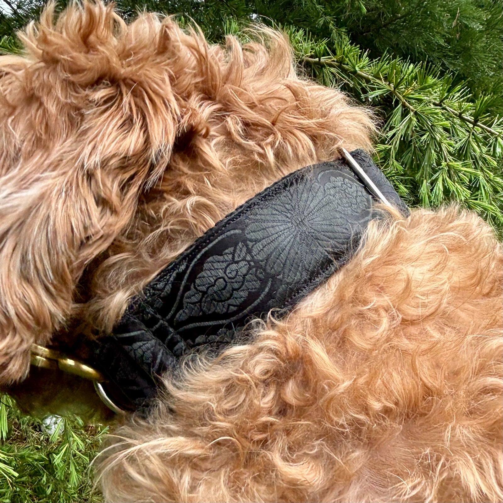 Silk Brocade Collar