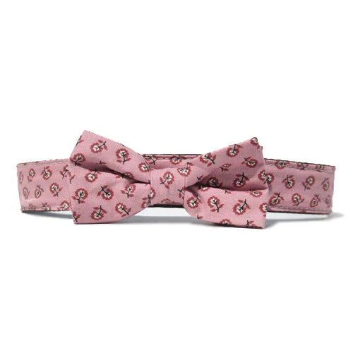 Bow Tie or Bow Standard Collar