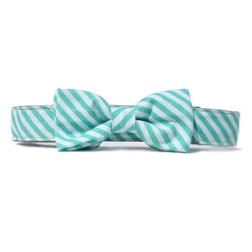 Bow Tie or Bow Martingale Collar