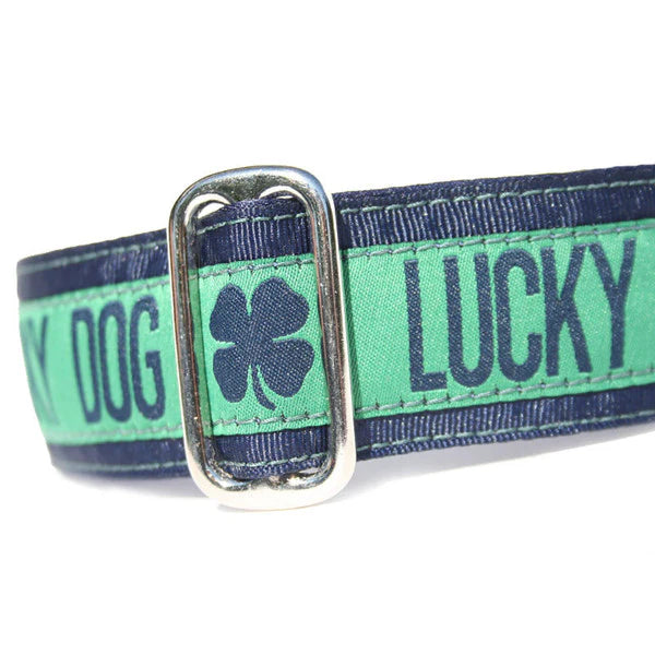 Lucky Dog Collar