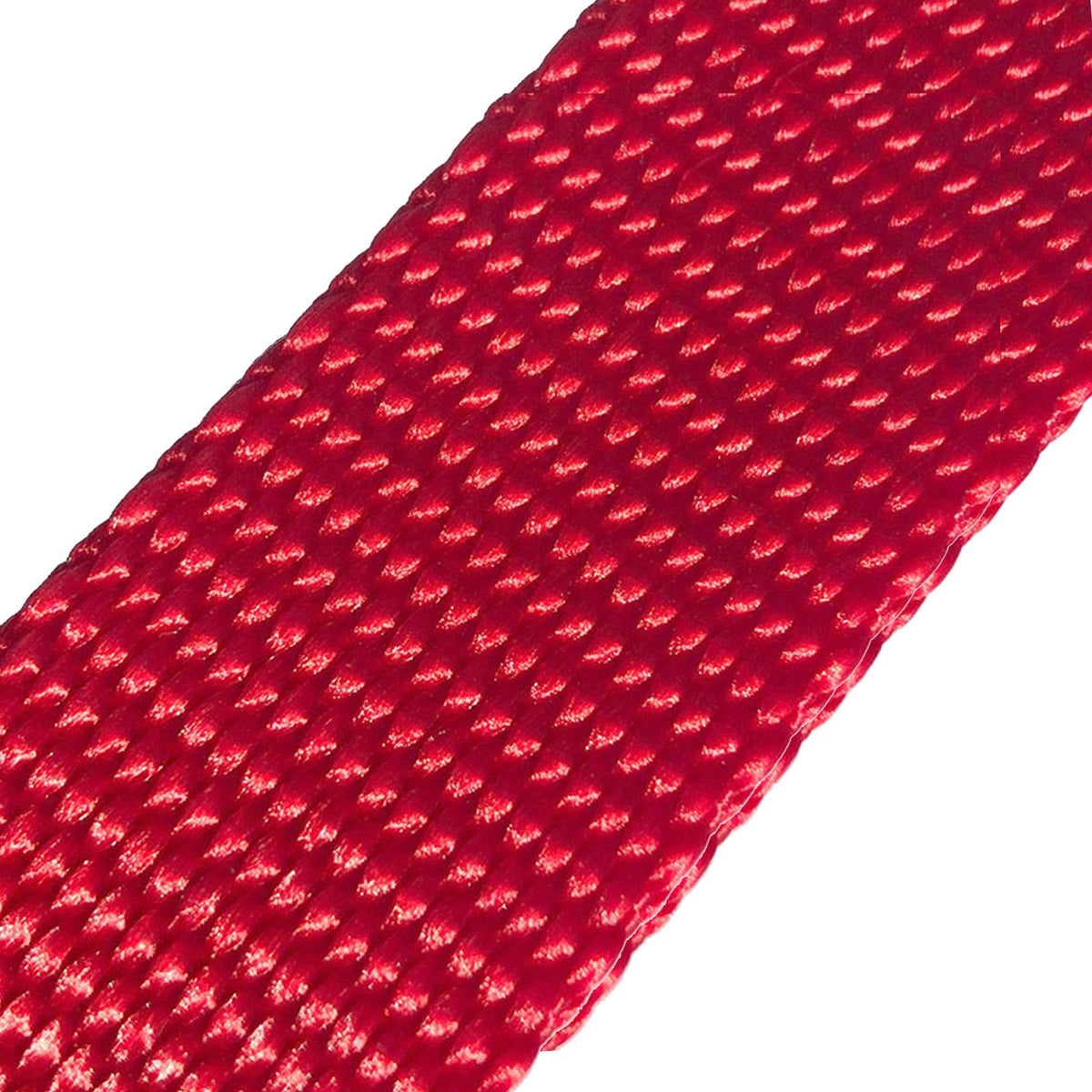 Naked Nylon Collar (1.5" Width)
