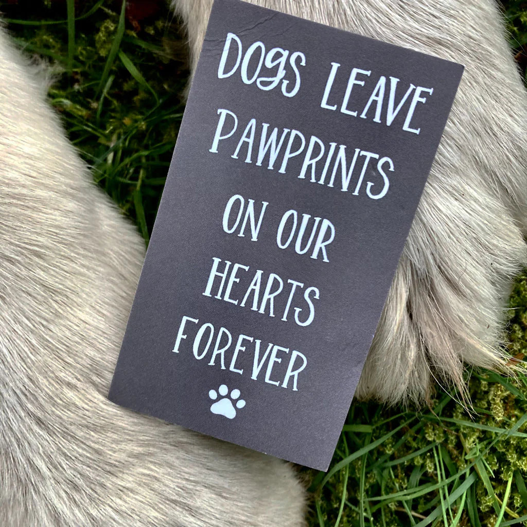 Card_Pawprints