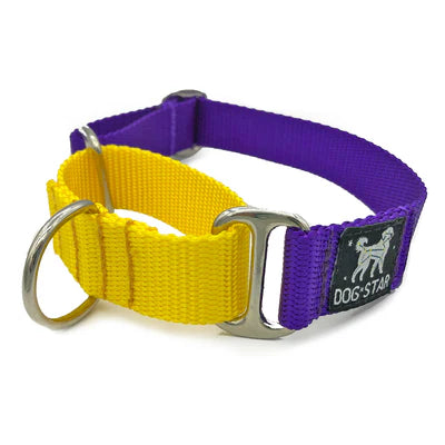 Color Pop Naked Nylon Martingale (5/8"-1" width)