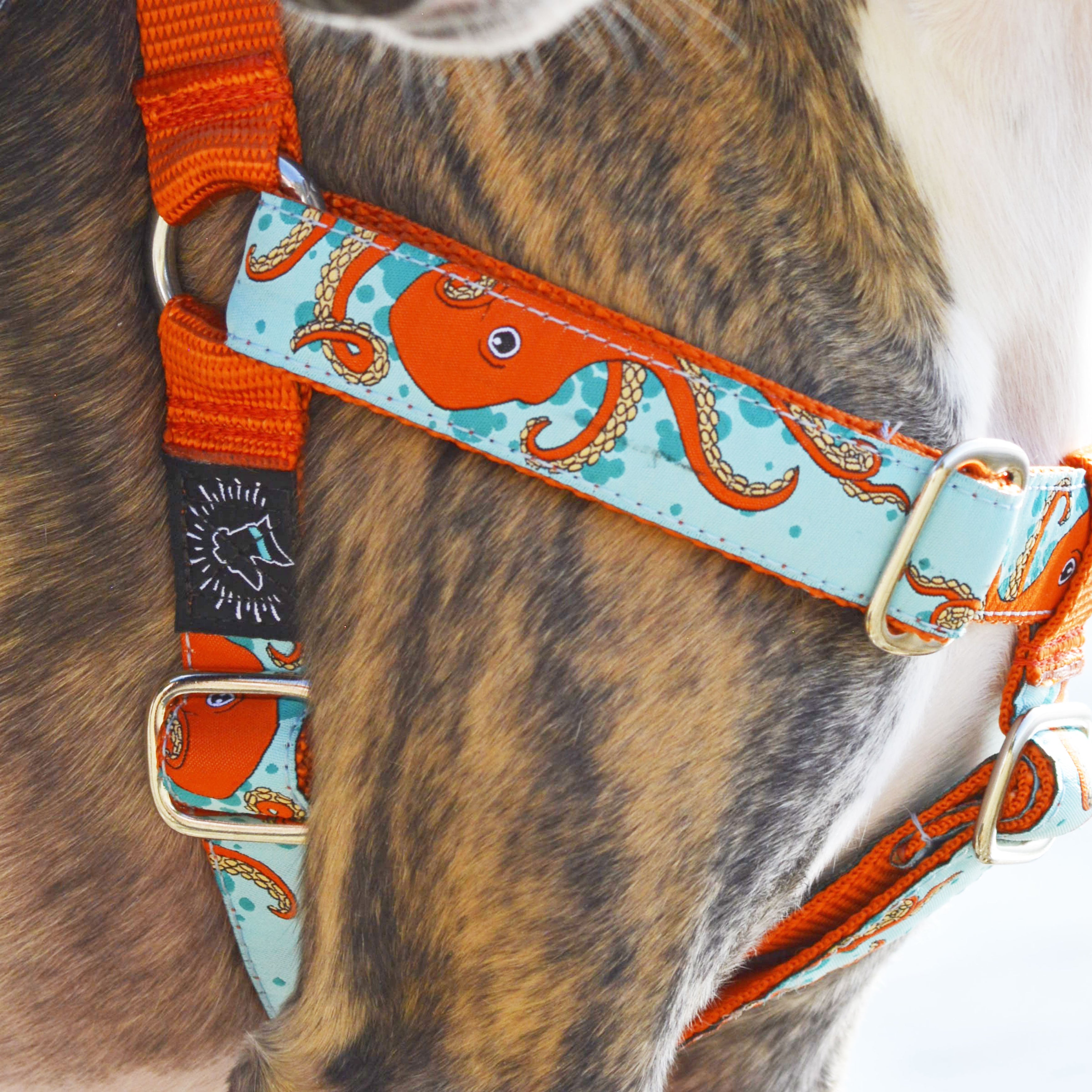 SatinLined Martingales, Dog Collars, and Accessories