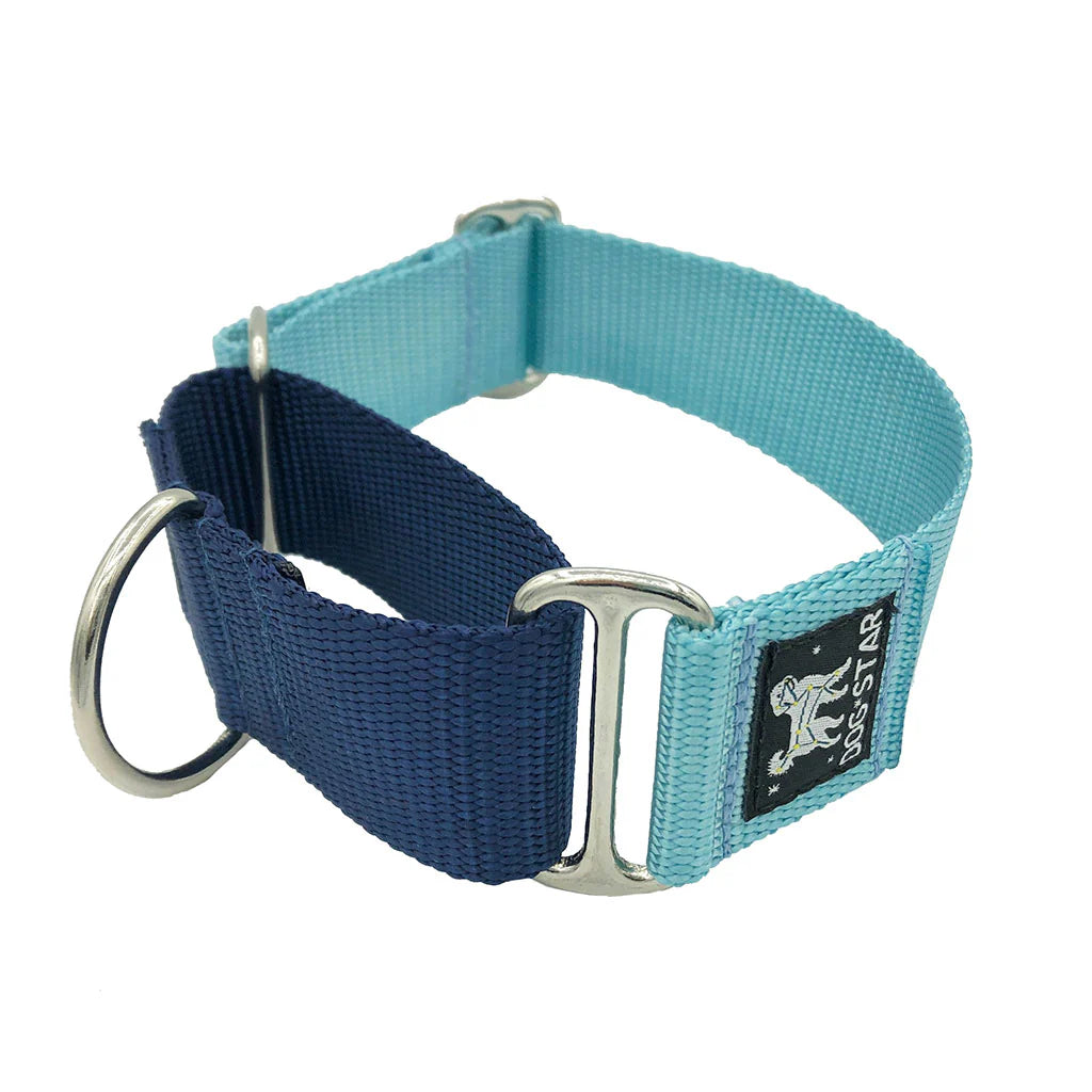 Color Pop Naked Nylon Martingale (1.5" Width)