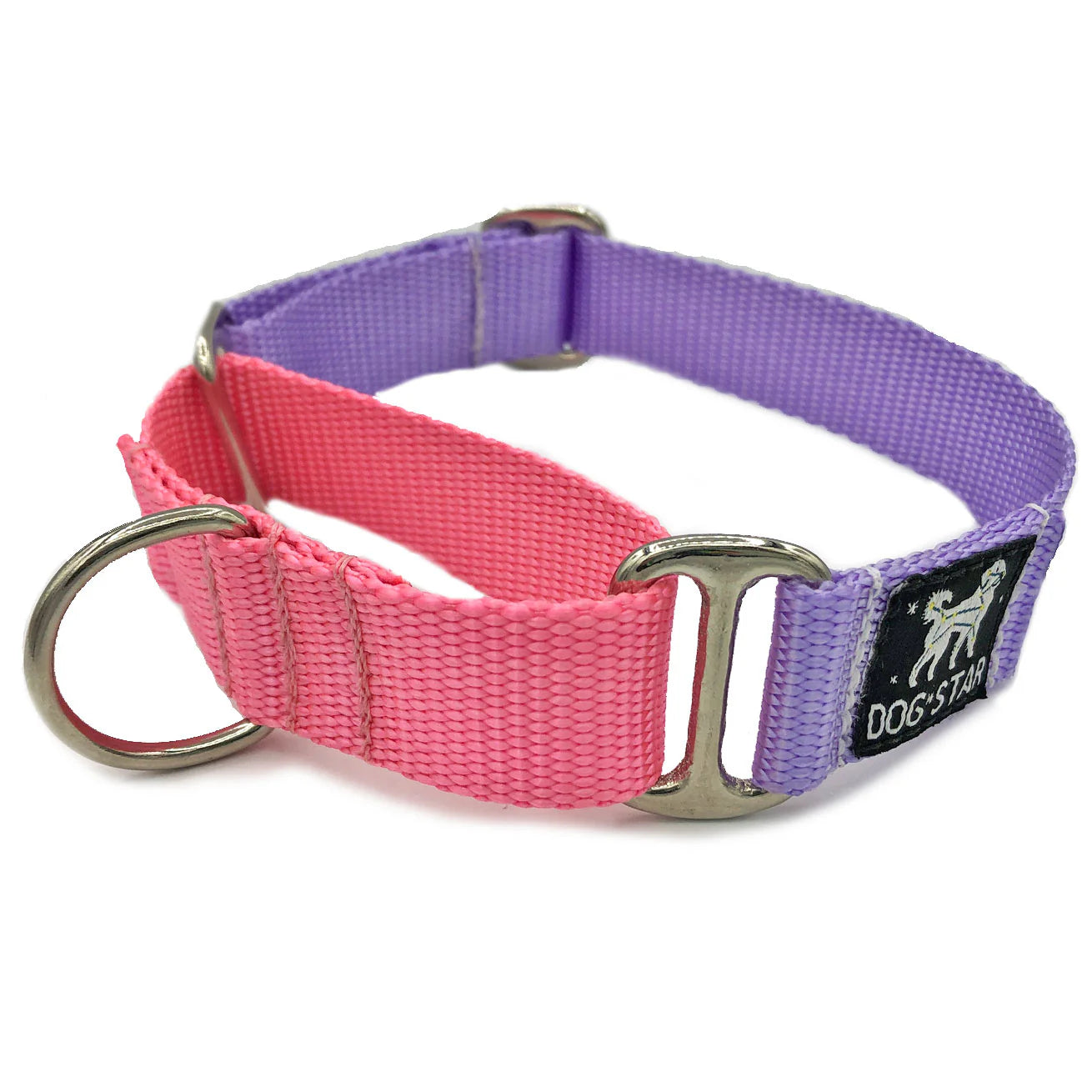 Color Pop Naked Nylon Martingale (5/8"-1" width)