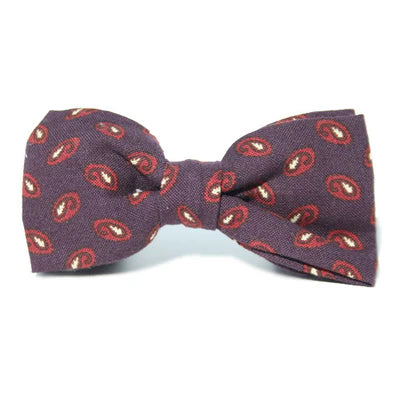 Gentleman's Paisley Bow Tie