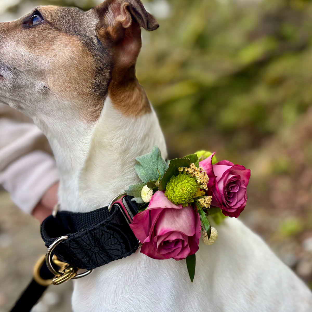 DIY Fresh Flower Collar Corsage/Boutonnière Fastener