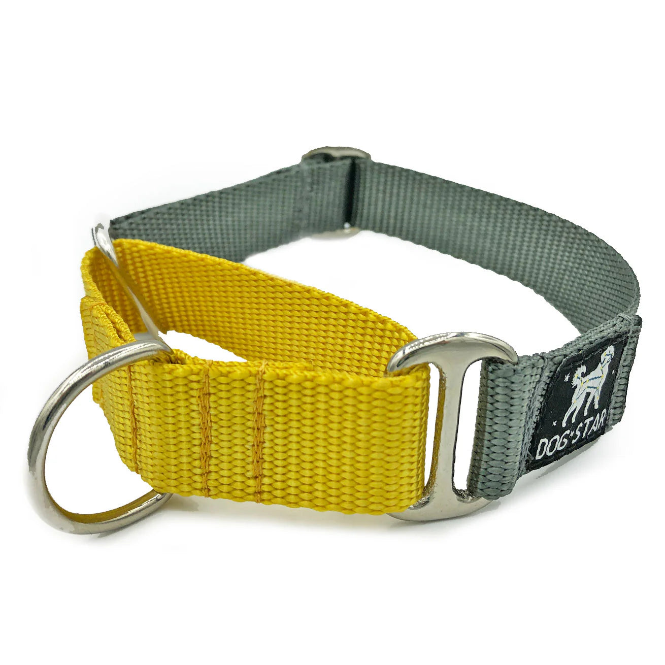 Color Pop Naked Nylon Martingale (5/8"-1" width)