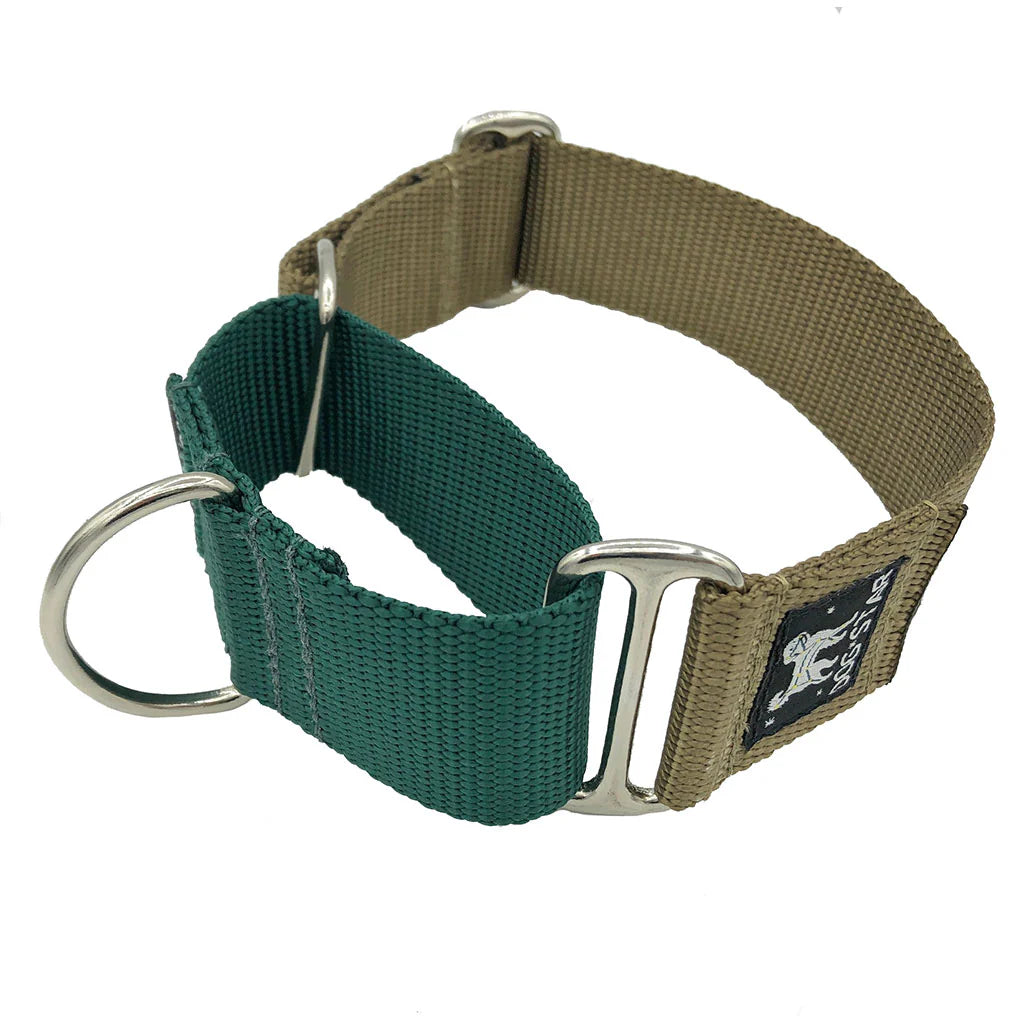 Color Pop Naked Nylon Martingale (1.5" Width)